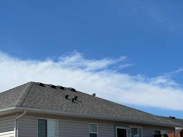 Best Solar Panel Roofing Installation  in Weimar, TX